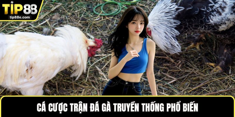 Đá gà TIP88 3 Cá cược trận đá gà truyền thống phổ biến