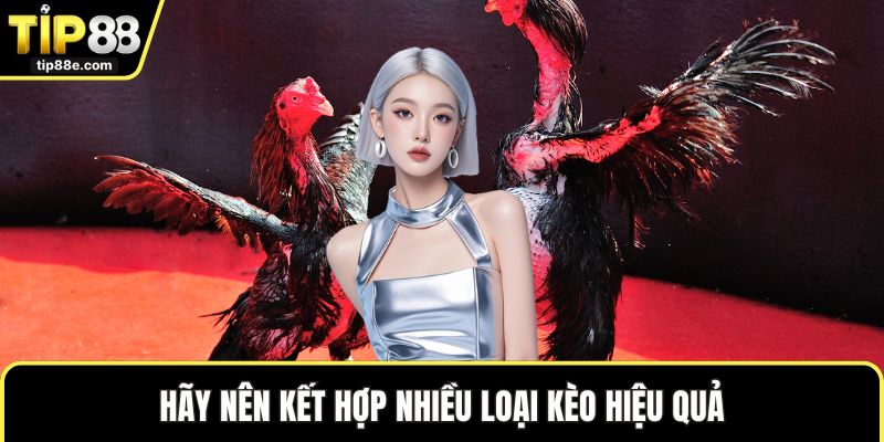 Đá gà TIP88 6 Hãy nên kết hợp nhiều loại kèo hiệu quả